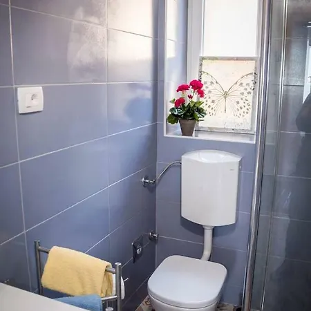 Apartman Vidi *