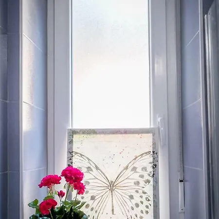 Apartment Apartman Vidi Rijeka